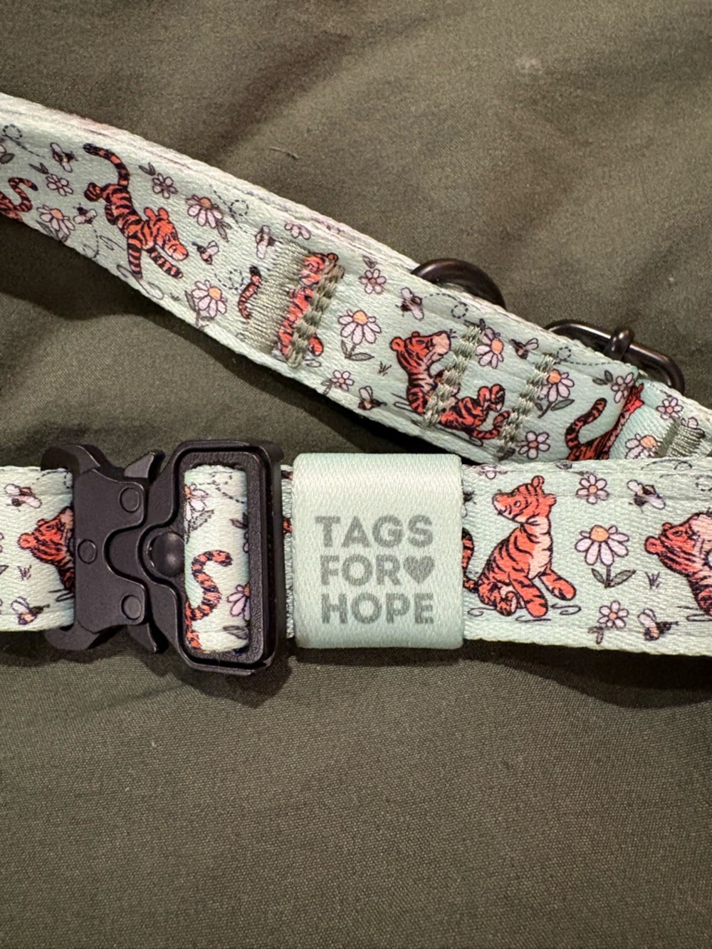 Tigger Print Mint Green Adjustable Collar TFH